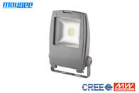 Epistar COB Chip 10W RGB LED Flood Light Outdoor IP65 for Landscape Lighting