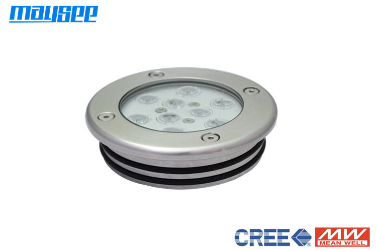 Submersible LED Swimming Pool Lights Inground With Cree LED Chip 110lm/w